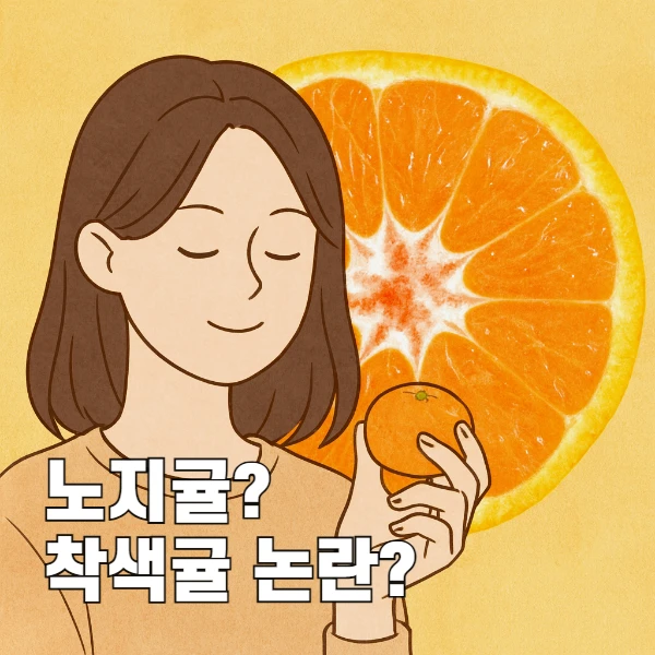 착색 귤 논란과 노지 귤 선호 이유까지, 귤에 대한 모든 것