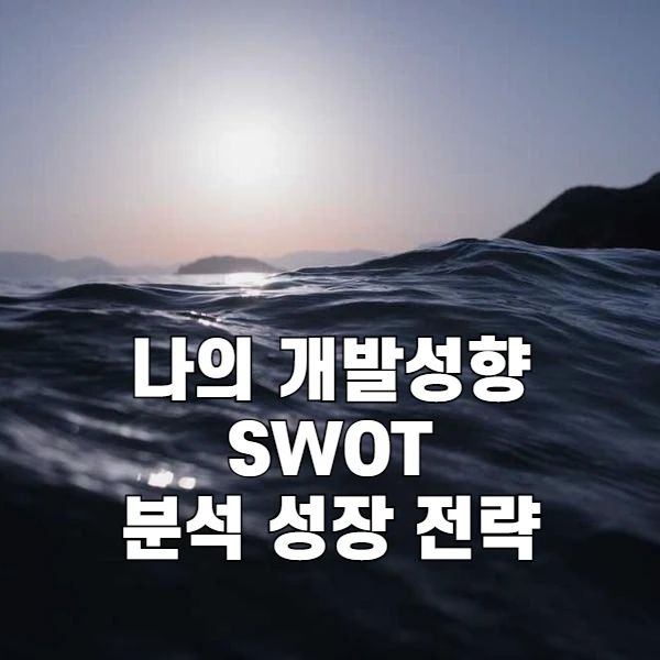나의 실전 개발자의 개발 성향 SWOT 분석과 성장 전략