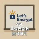 유료 SSL과 Let’s Encrypt 비교: 무엇을 선택해야 할까