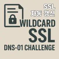 Certbot으로 Wildcard 인증서 발급하는 실전 가이드