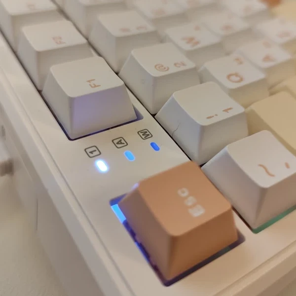 대문자 넘버락 키상태